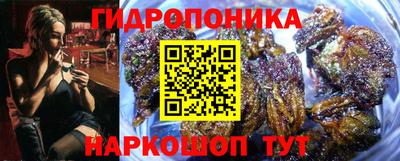 стаф Будённовск