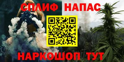 стаф Будённовск