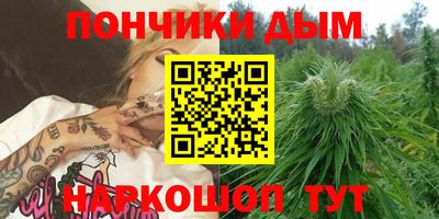 стаф Будённовск