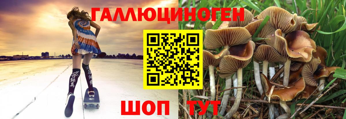 Галлюциногенные грибы мицелий Майский